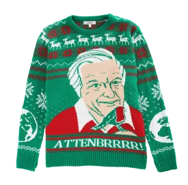 (50% Recycled) Attenbrrr: David Attenborough Knitted Christmas Jumper