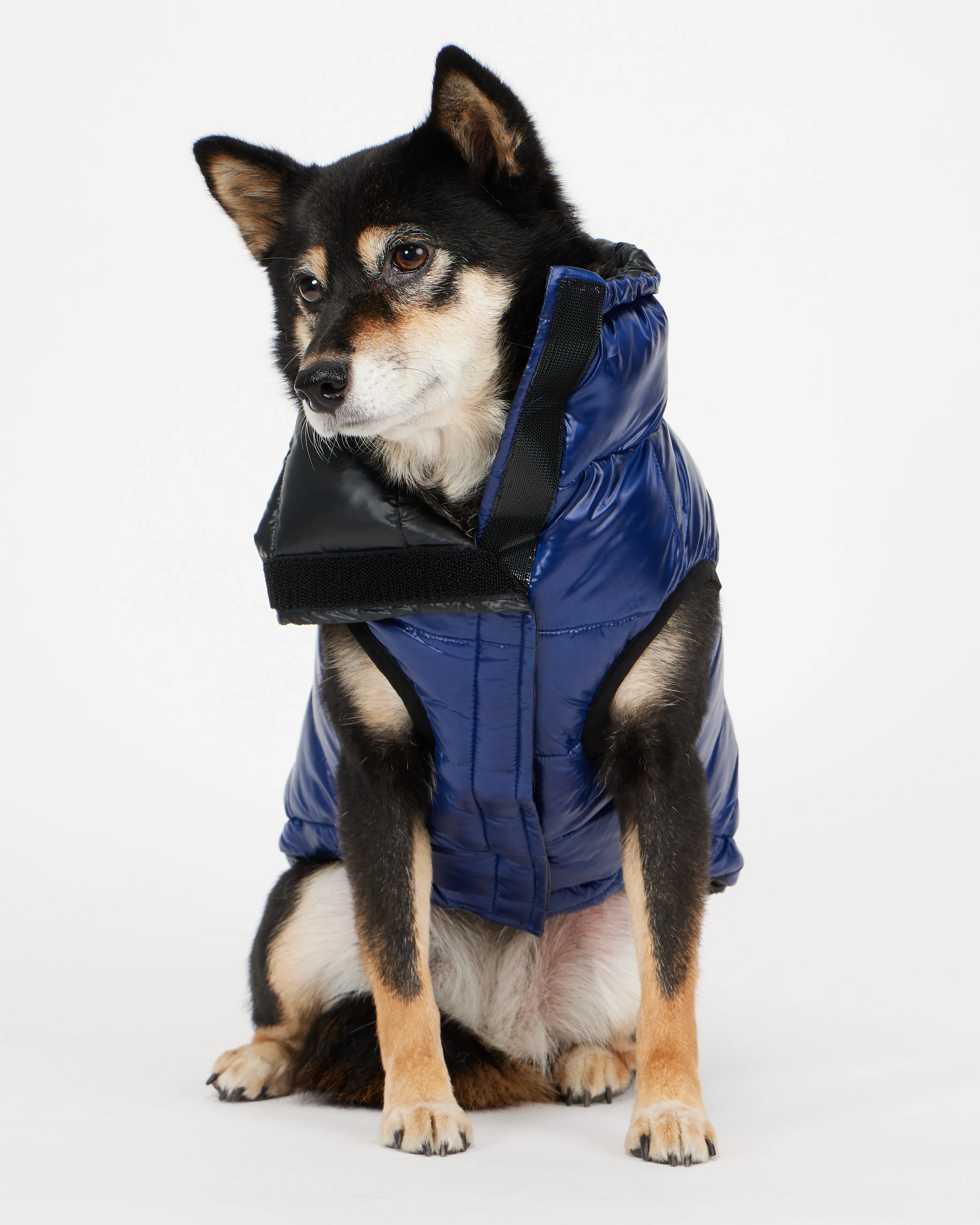 Theo Reversible Puffer for Dogs