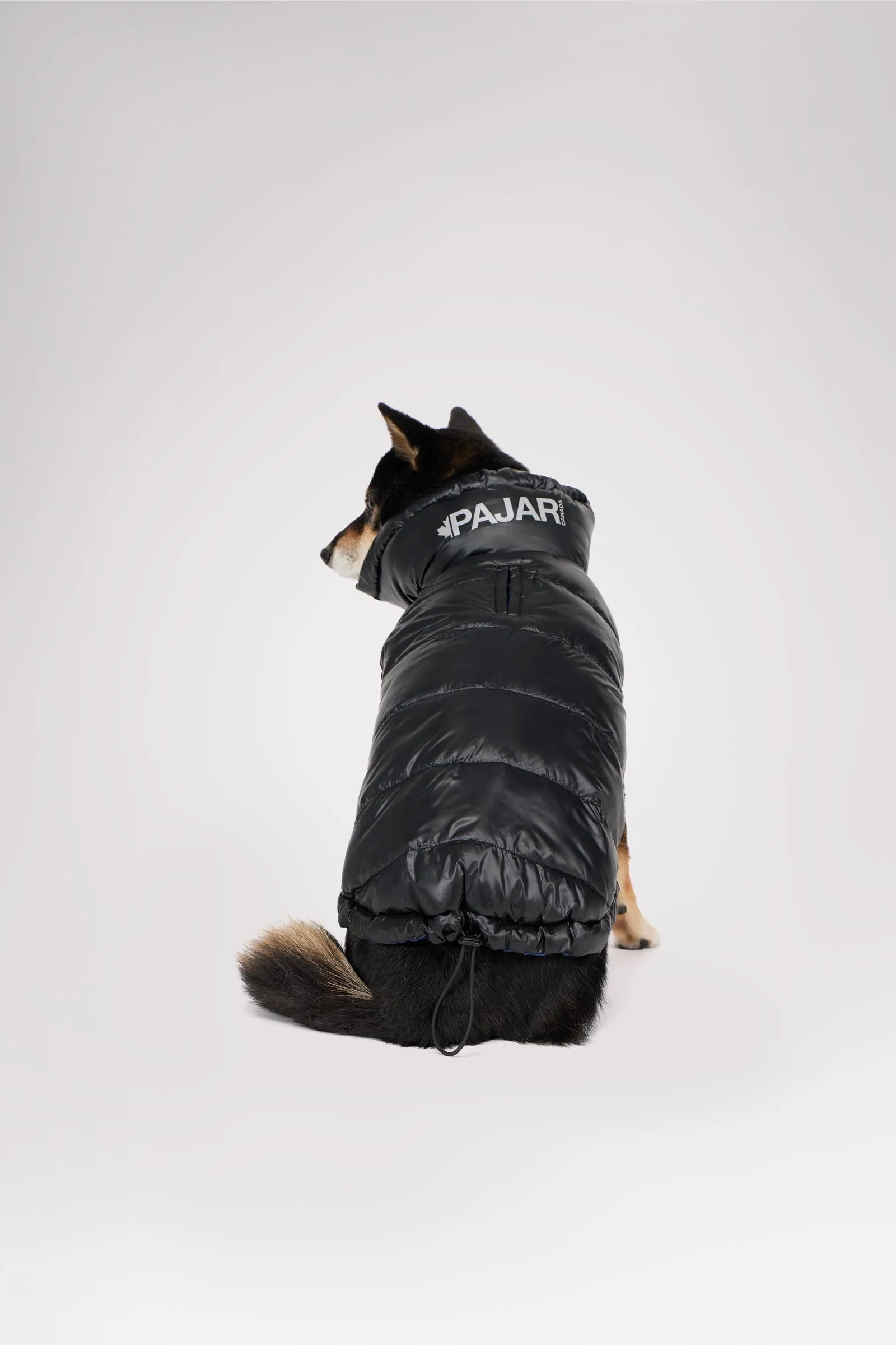 Theo Reversible Puffer for Dogs